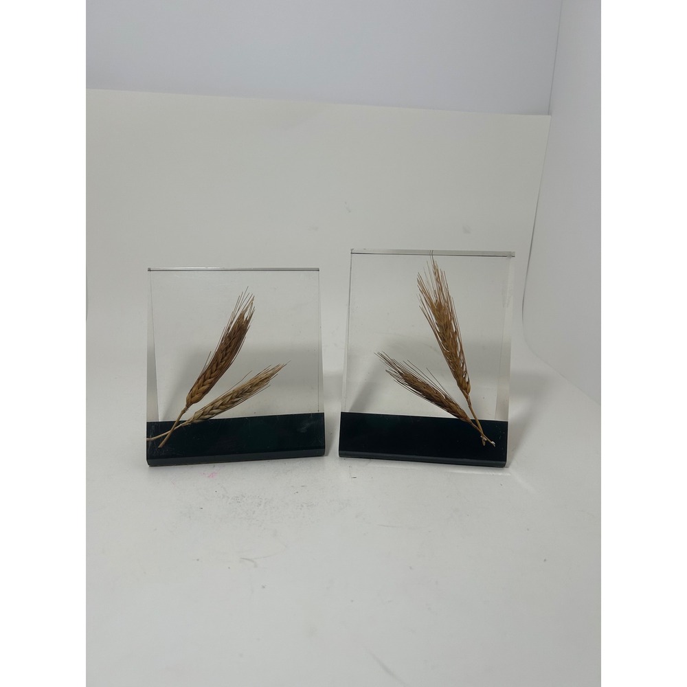 Vintage Acrylic Wheat Stalk Bookends Clear Lucite Black Base Set of 2 MCM Decor‎